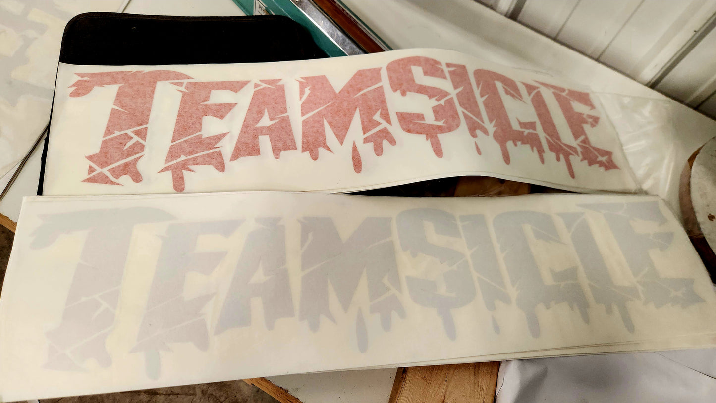 DTX Teamsicle Window Banner